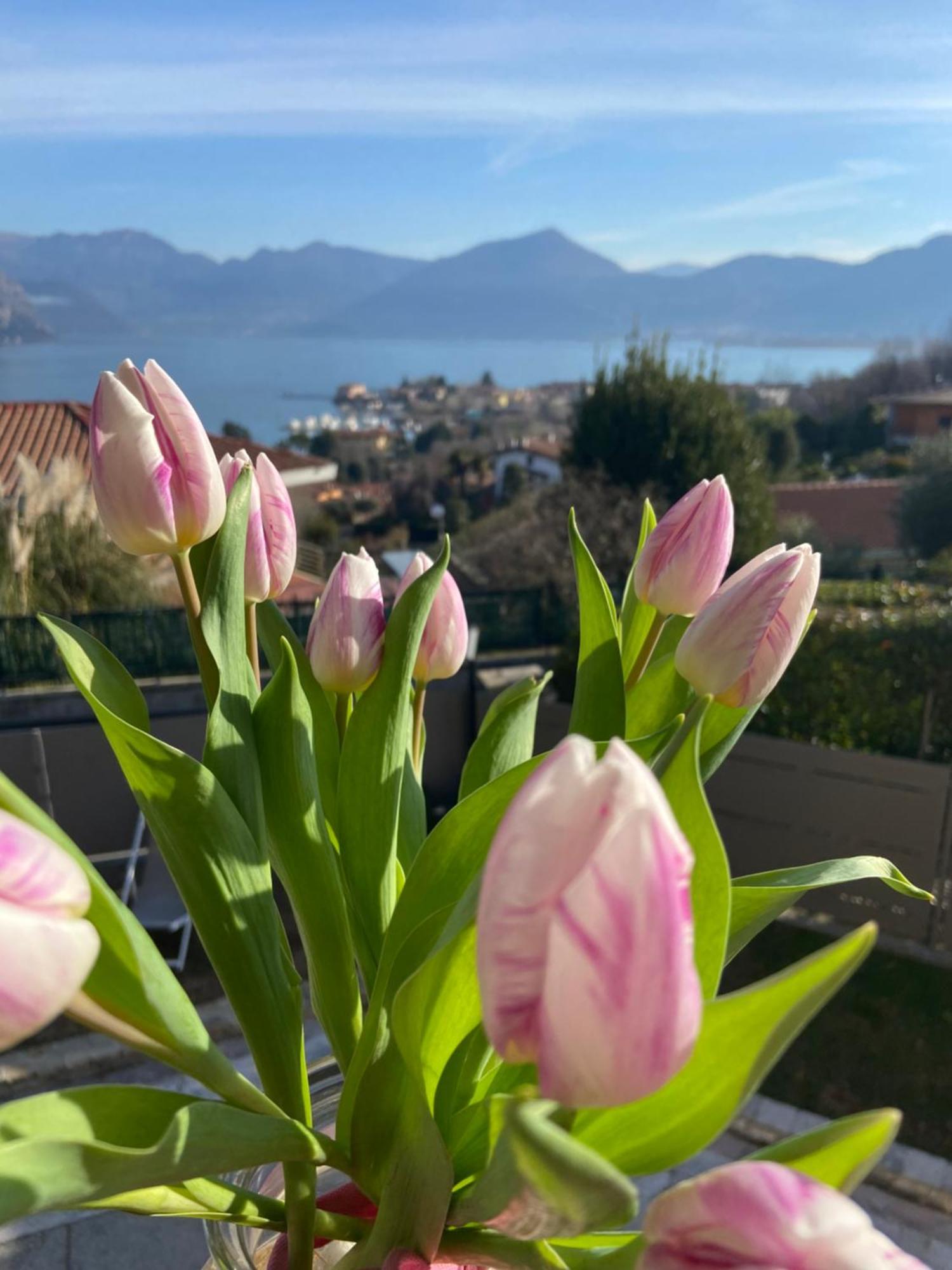 B&B Panorama Iseo Exteriér fotografie